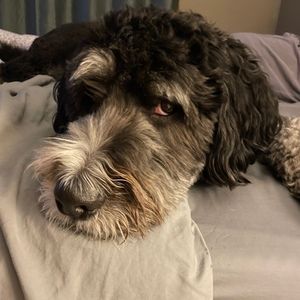 Meet your Posher, June